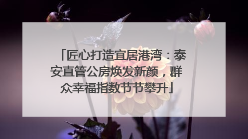 匠心打造宜居港湾：泰安直管公房焕发新颜，群众幸福指数节节攀升