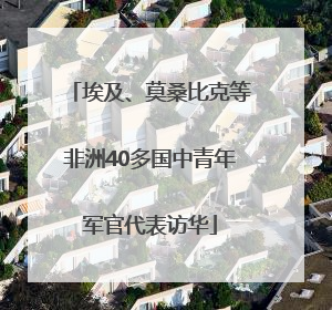 埃及、莫桑比克等非洲40多国中青年军官代表访华