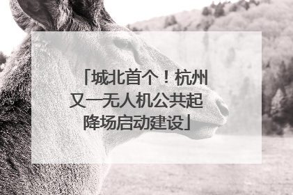 城北首个！杭州又一无人机公共起降场启动建设