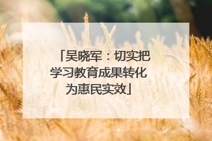 吴晓军：切实把学习教育成果转化为惠民实效