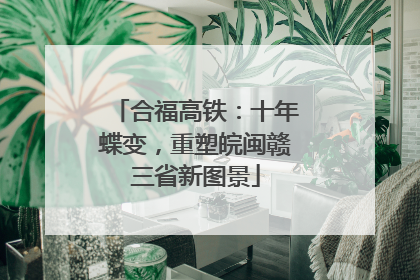 合福高铁：十年蝶变，重塑皖闽赣三省新图景