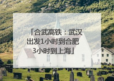 合武高铁：武汉出发1小时到合肥3小时到上海