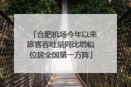 合肥机场今年以来旅客吞吐量同比增幅位居全国第一方阵