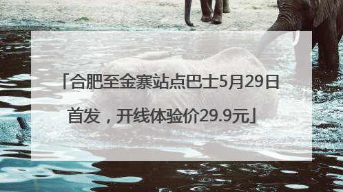 合肥至金寨站点巴士5月29日首发，开线体验价29.9元