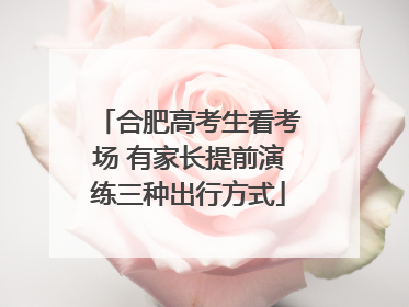合肥高考生看考场 有家长提前演练三种出行方式