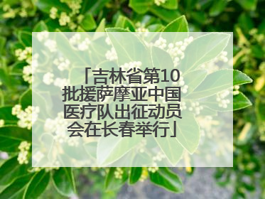 吉林省第10批援萨摩亚中国医疗队出征动员会在长春举行