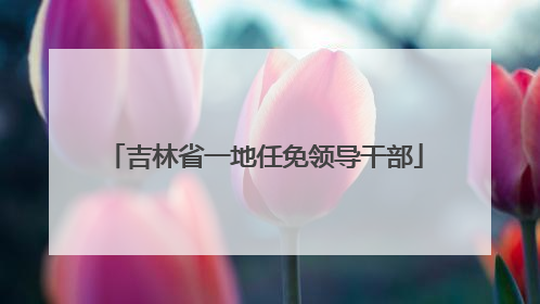 吉林省一地任免领导干部