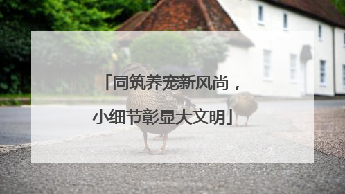 同筑养宠新风尚，小细节彰显大文明
