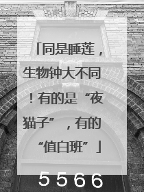同是睡莲，生物钟大不同！有的是“夜猫子”，有的“值白班”