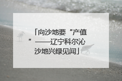 向沙地要“产值”——辽宁科尔沁沙地兴绿见闻