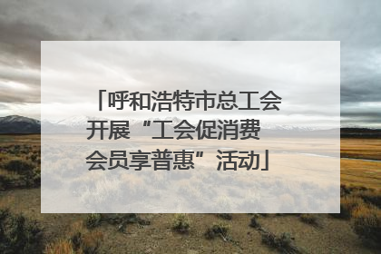 呼和浩特市总工会开展“工会促消费 会员享普惠”活动