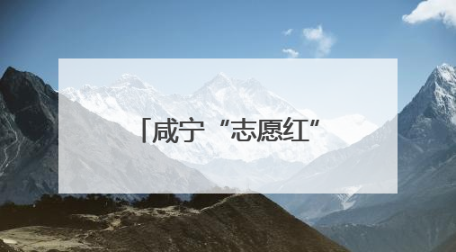 咸宁“志愿红”织密高考服务网