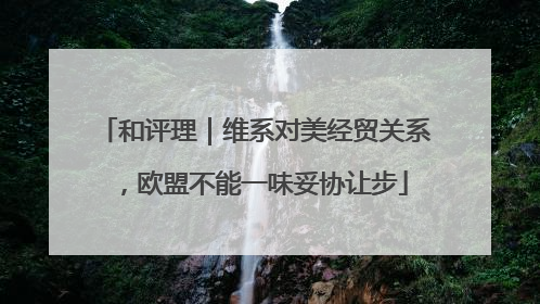 和评理｜维系对美经贸关系，欧盟不能一味妥协让步