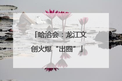 哈洽会：龙江文创火爆“出圈”