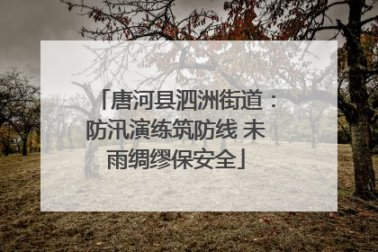 唐河县泗洲街道：防汛演练筑防线 未雨绸缪保安全