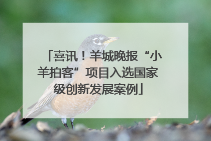 喜讯！羊城晚报“小羊拍客”项目入选国家级创新发展案例