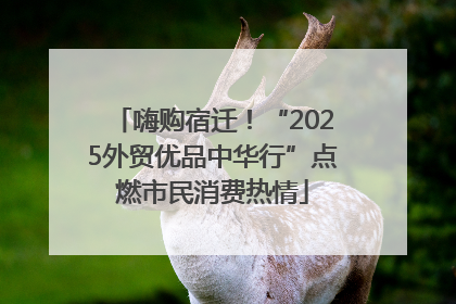 嗨购宿迁！“2025外贸优品中华行”点燃市民消费热情