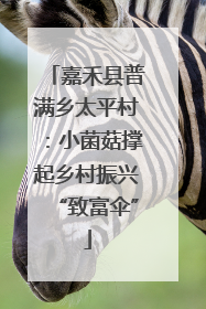 嘉禾县普满乡太平村：小菌菇撑起乡村振兴“致富伞”