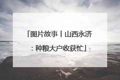 图片故事丨山西永济：种粮大户收获忙