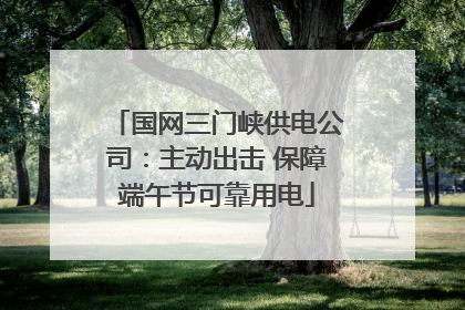 国网三门峡供电公司：主动出击 保障端午节可靠用电