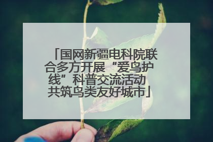 国网新疆电科院联合多方开展“爱鸟护线”科普交流活动 共筑鸟类友好城市