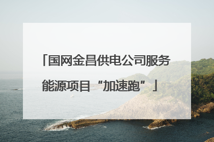 国网金昌供电公司服务能源项目“加速跑”