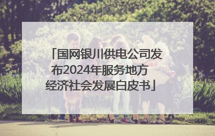 国网银川供电公司发布2024年服务地方经济社会发展白皮书