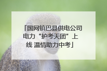 国网镇巴县供电公司 电力“护考天团”上线 温情助力中考