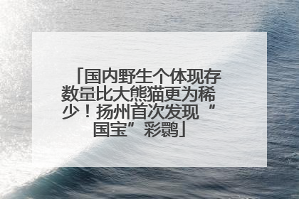 国内野生个体现存数量比大熊猫更为稀少！扬州首次发现“国宝”彩鹮