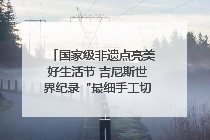 国家级非遗点亮美好生活节 吉尼斯世界纪录“最细手工切面”邀您来品！｜美好生活有“盐”味