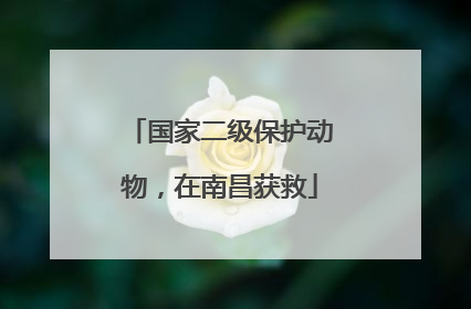 国家二级保护动物，在南昌获救