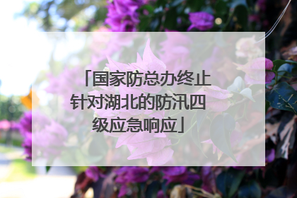 国家防总办终止针对湖北的防汛四级应急响应