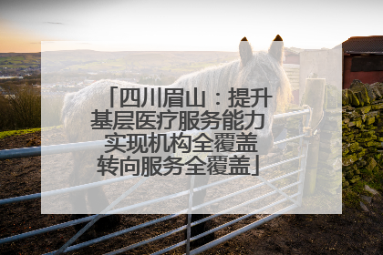 四川眉山：提升基层医疗服务能力 实现机构全覆盖转向服务全覆盖