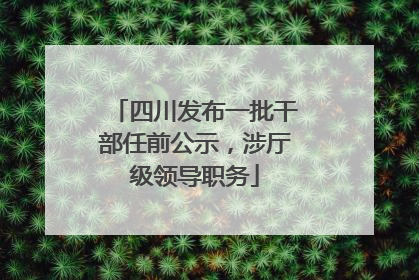 四川发布一批干部任前公示，涉厅级领导职务