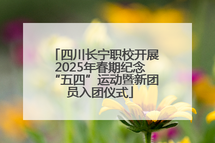 四川长宁职校开展2025年春期纪念“五四”运动暨新团员入团仪式