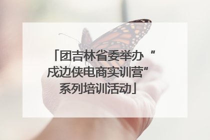 团吉林省委举办“戍边侠电商实训营”系列培训活动