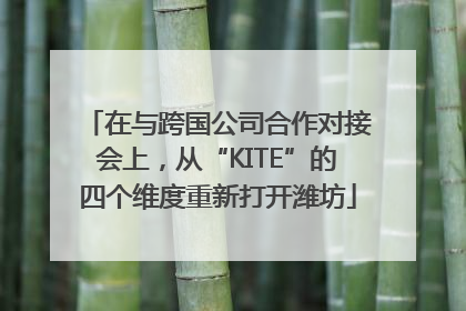 在与跨国公司合作对接会上，从“KITE”的四个维度重新打开潍坊