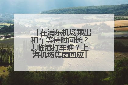 在浦东机场乘出租车等待时间长?去临港打车难?上海机场集团回应
