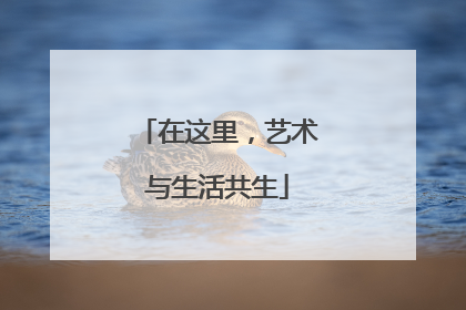 在这里，艺术与生活共生