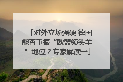 对外立场强硬 德国能否重振“欧盟领头羊”地位？专家解读→