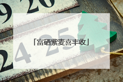 富硒紫麦喜丰收