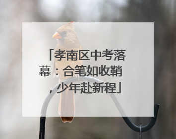 孝南区中考落幕：合笔如收鞘，少年赴新程