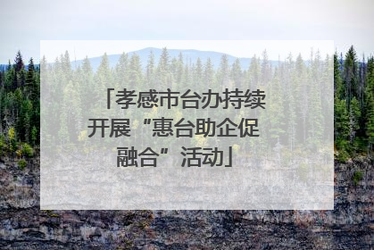 孝感市台办持续开展“惠台助企促融合”活动