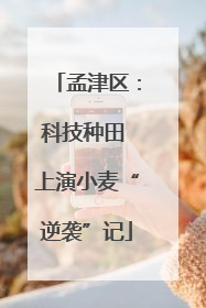 孟津区：科技种田 上演小麦“逆袭”记