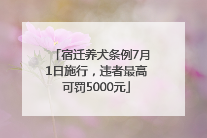 宿迁养犬条例7月1日施行，违者最高可罚5000元