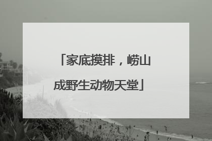 家底摸排，崂山成野生动物天堂