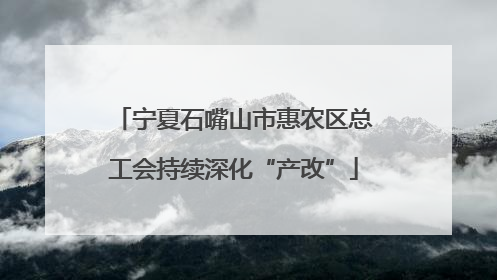宁夏石嘴山市惠农区总工会持续深化“产改”