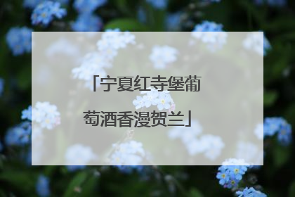 宁夏红寺堡葡萄酒香漫贺兰