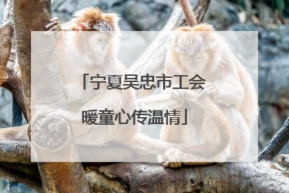 宁夏吴忠市工会暖童心传温情