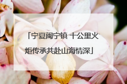 宁夏闽宁镇 十公里火炬传承共赴山海情深